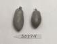 Click for 1 image(s) for this accession. FRUIT